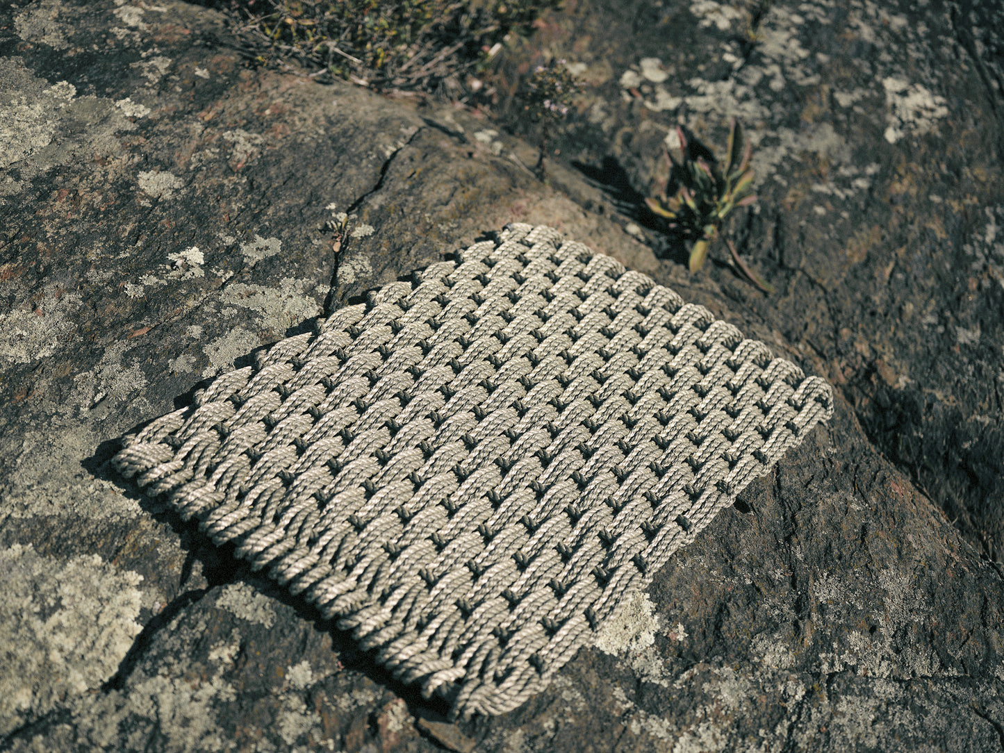 Mushroom + Mushroom + Sand Doormat